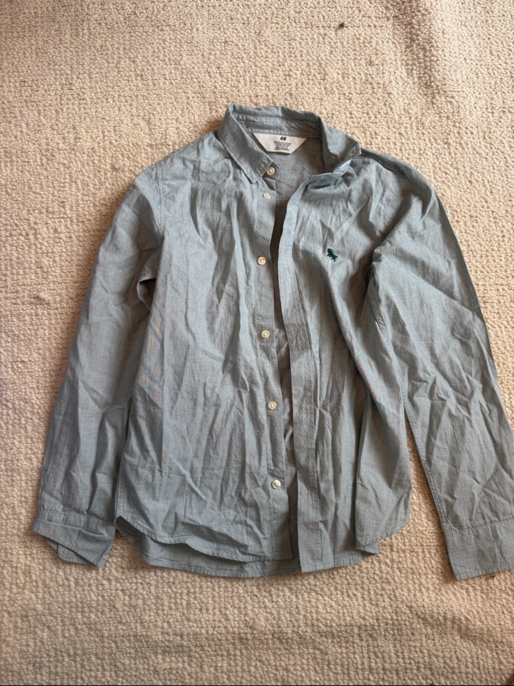 H&M Light Blue Button-Down Shirt with Embroidered Logo